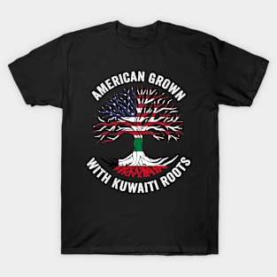 American Grown With Korean Roots T-Shirt